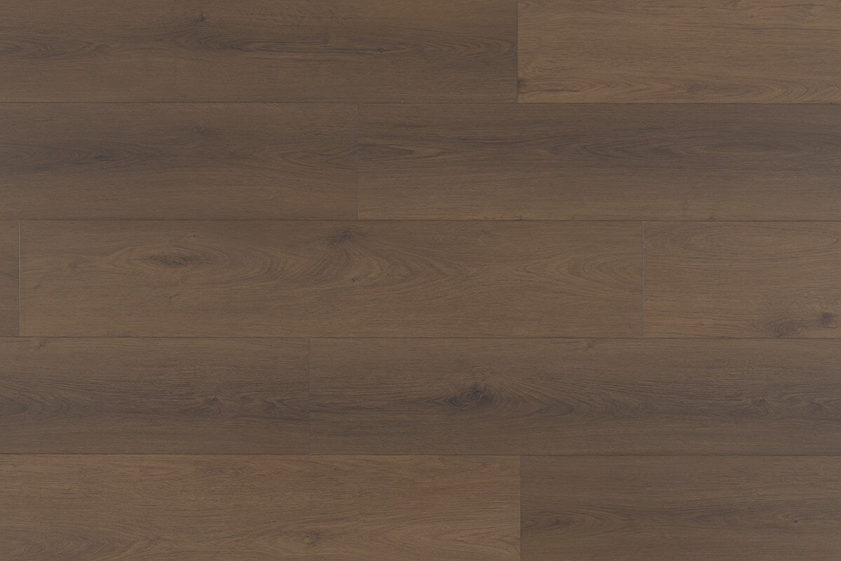 Tigris Dryback Chocolate Fudge