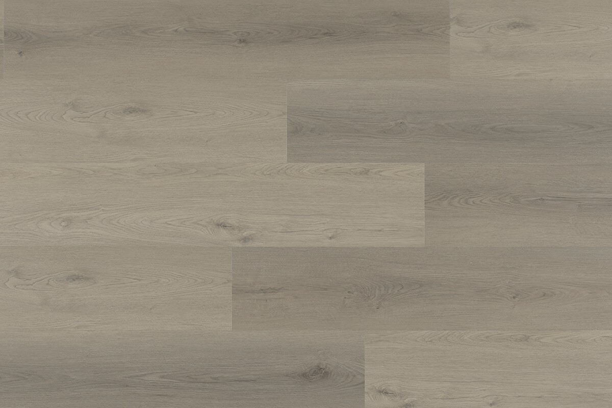 Tigris Dryback Rhino